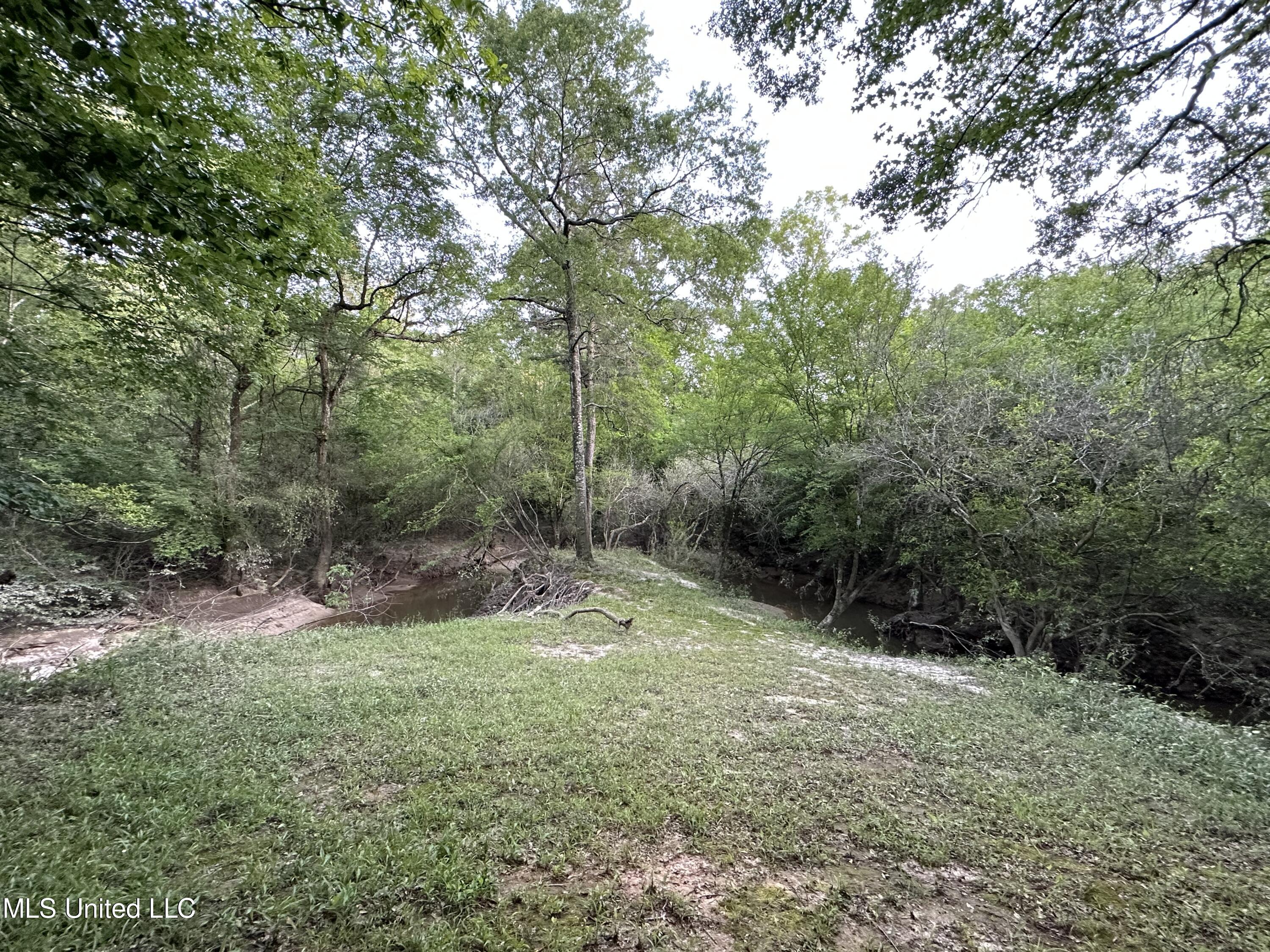 965 Seminary-Sumrall Road Seminary, MS 39479 - Photo 64 of 67 55567639-1866-4D1B-90D9-62B1DDDA1827