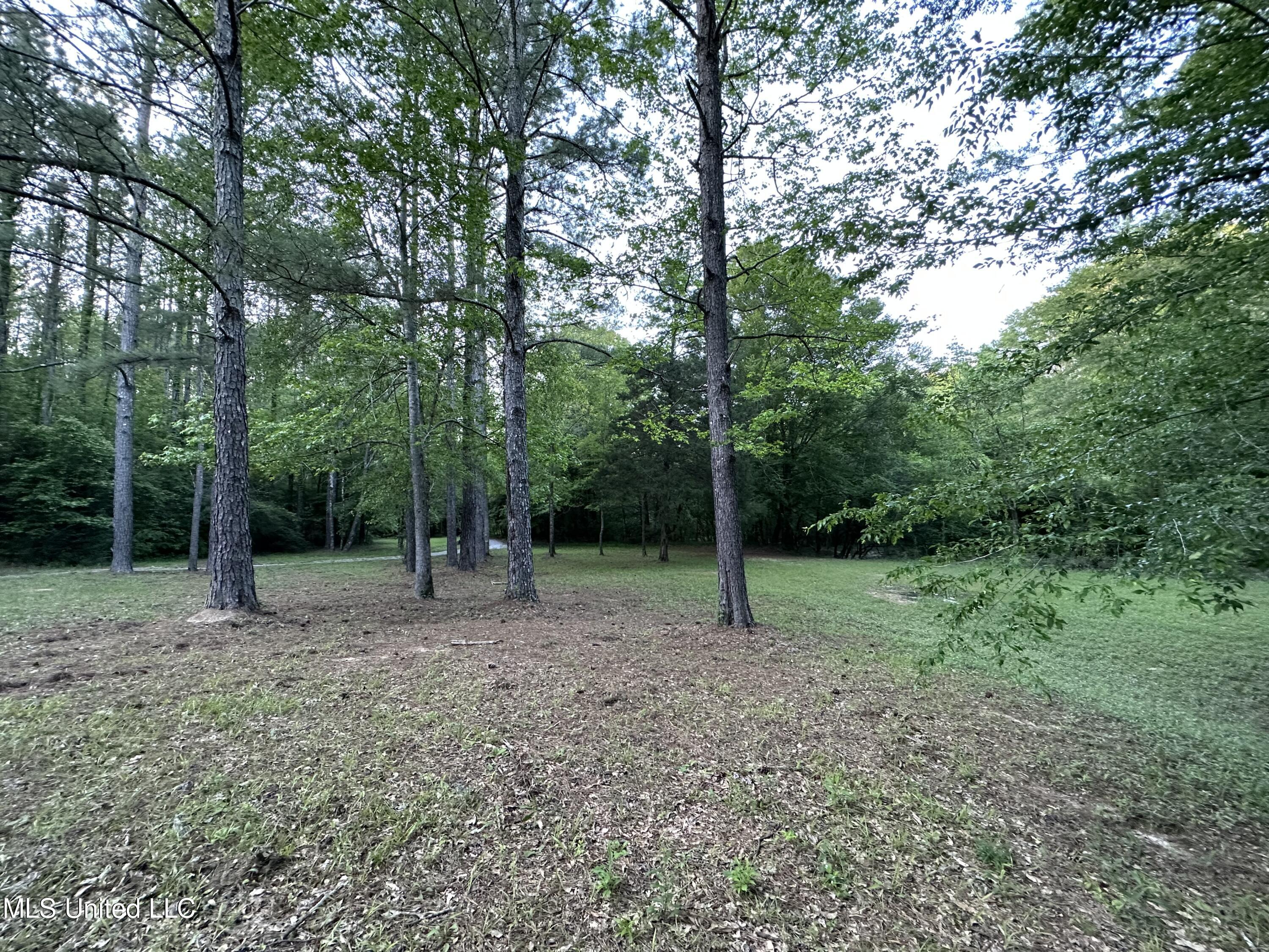 965 Seminary-Sumrall Road Seminary, MS 39479 - Photo 65 of 67 D9FD719A-8F1F-423C-9292-DB26D4D6F266