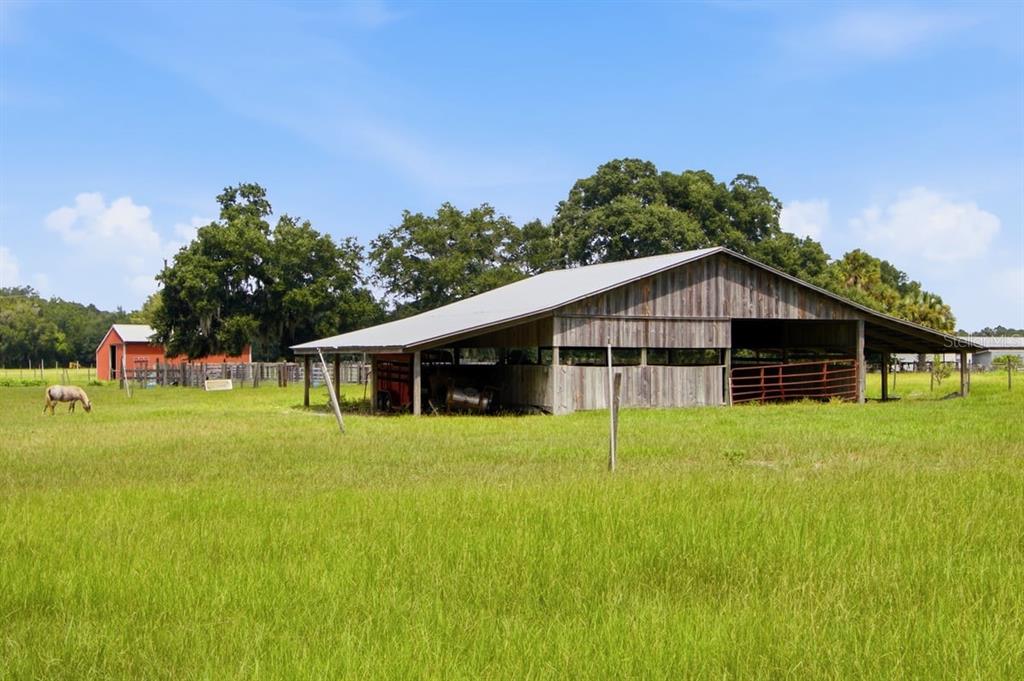 2259 Brownlee Road Seville, FL 32190 - Photo 51 of 58 Gallery Image 51