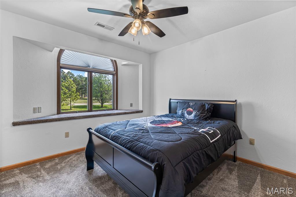 220 Buzzard Rock Road Farmington, MO 63640 - Photo 53 of 87