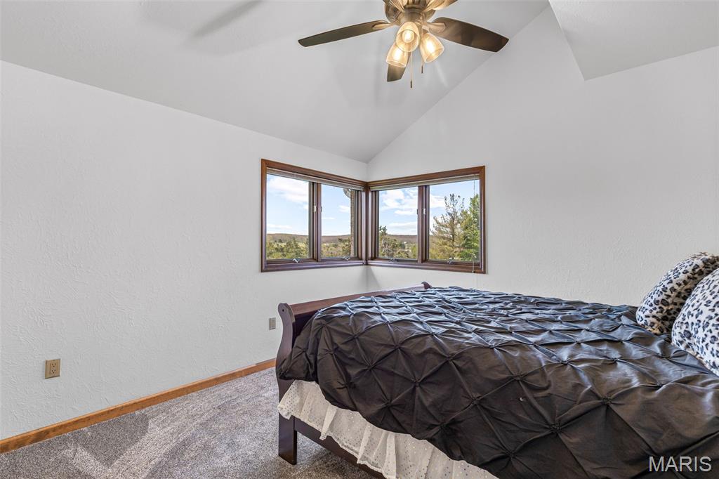 220 Buzzard Rock Road Farmington, MO 63640 - Photo 55 of 87