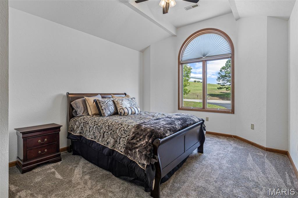 220 Buzzard Rock Road Farmington, MO 63640 - Photo 59 of 87