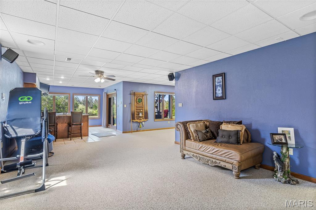 220 Buzzard Rock Road Farmington, MO 63640 - Photo 68 of 87