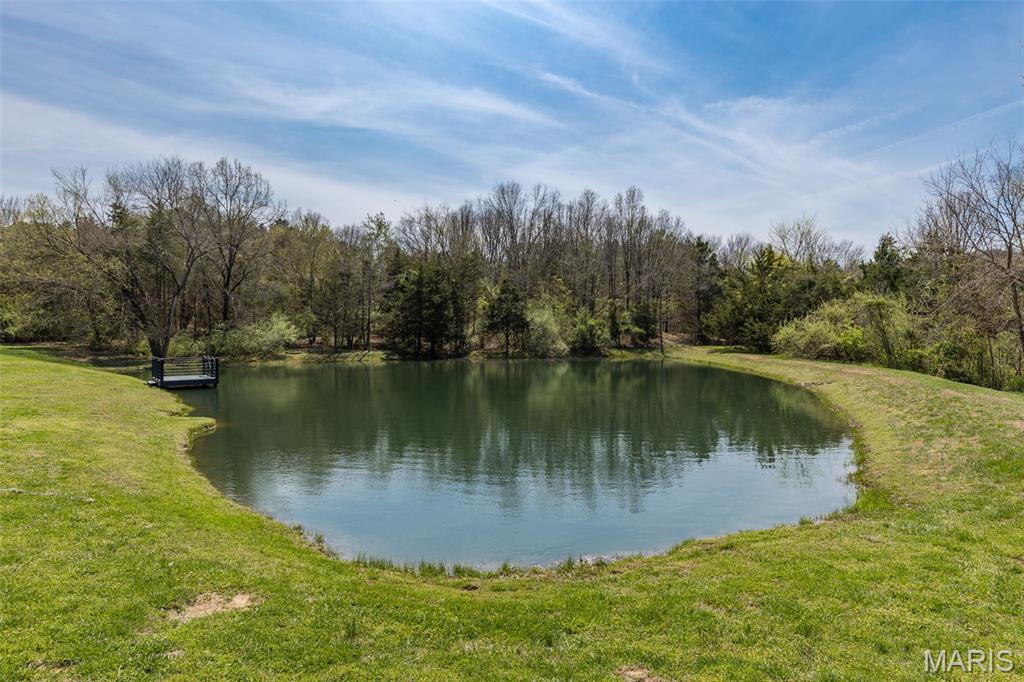 220 Buzzard Rock Road Farmington, MO 63640 - Photo 86 of 87