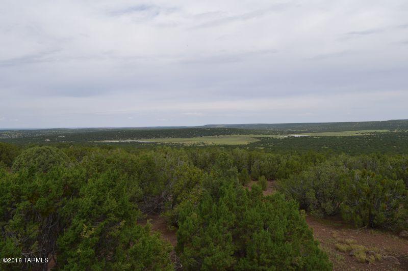 8225 Tamarron Ranch Concho, AZ 85924 - Photo 23 of 27 Gallery Image 23