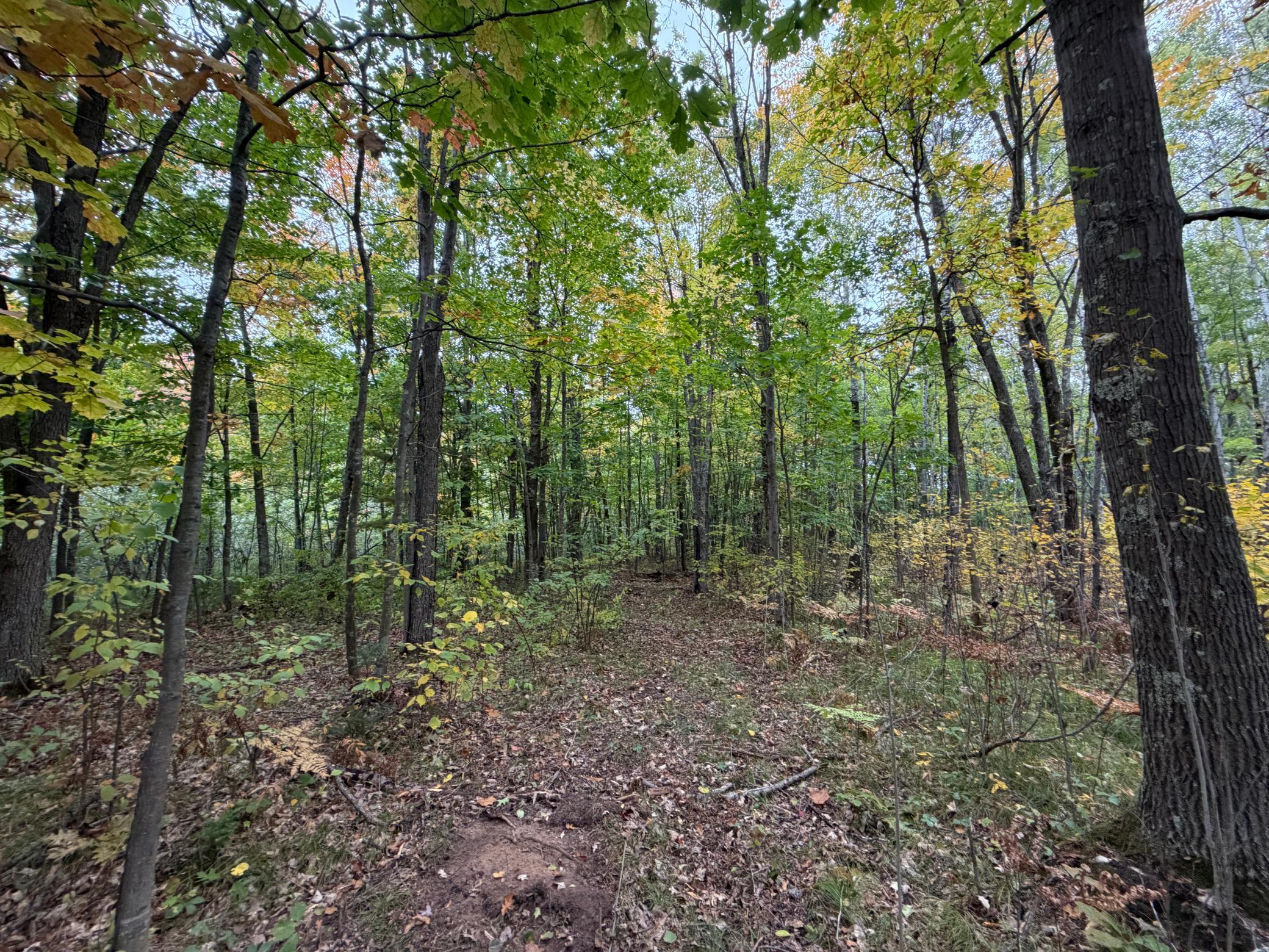 51449 Sand Creek Road Bruno, MN 55712 - Photo 11 of 12 Gallery Image 11
