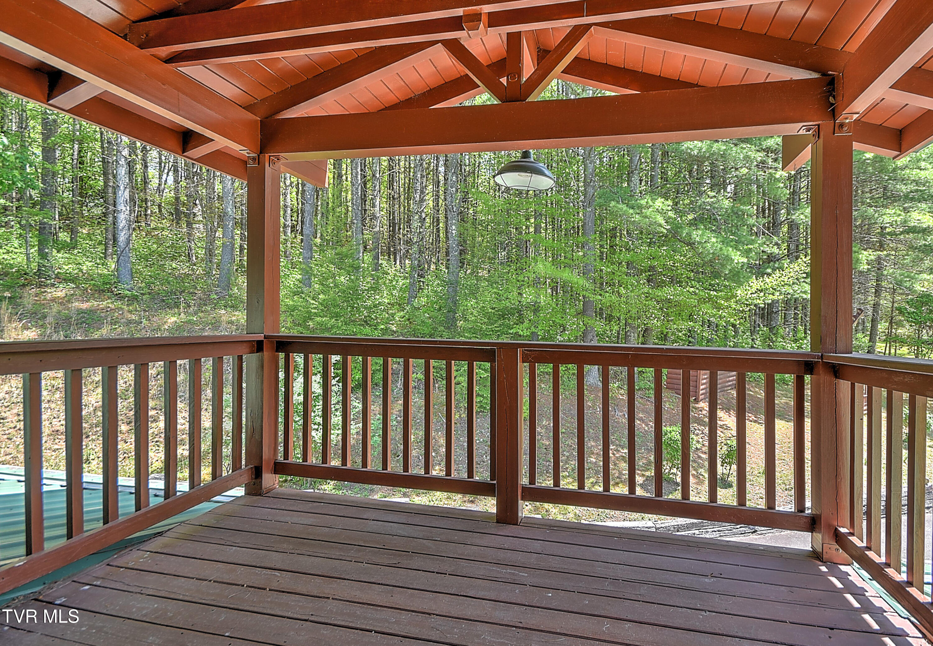 423 Pandora Fork Road Butler, TN 37640 - Photo 51 of 109 423 Pandora Fork DST-51