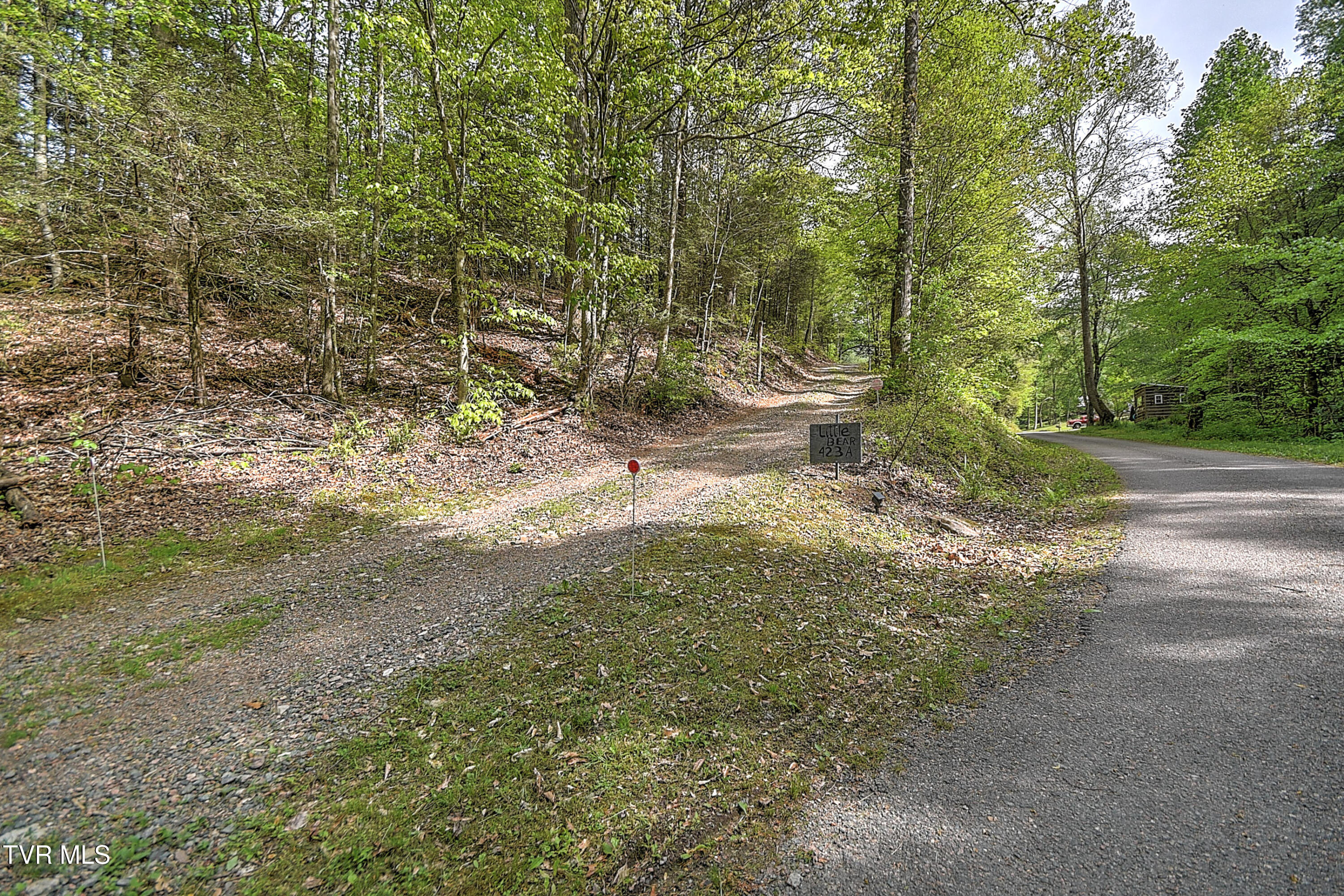 423 Pandora Fork Road Butler, TN 37640 - Photo 75 of 109 423 Pandora Fork DST-75