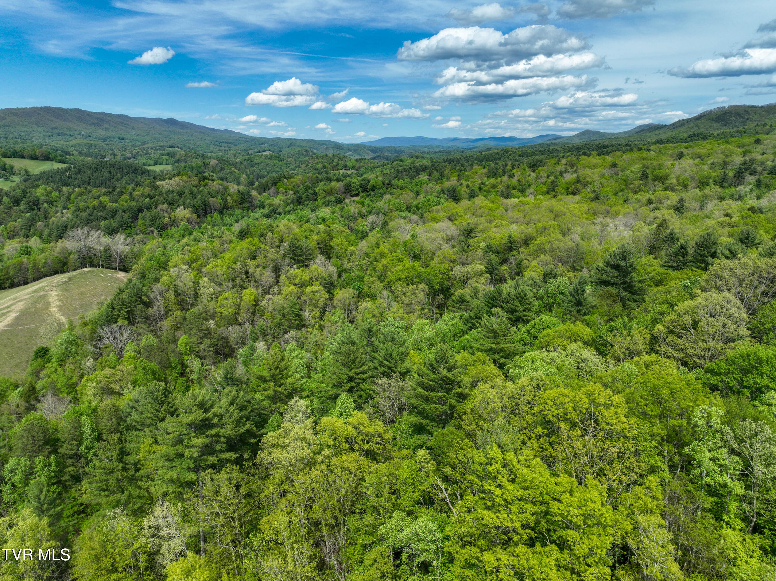 423 Pandora Fork Road Butler, TN 37640 - Photo 83 of 109 423 Pandora Fork Ln Drone TAYLOR-4