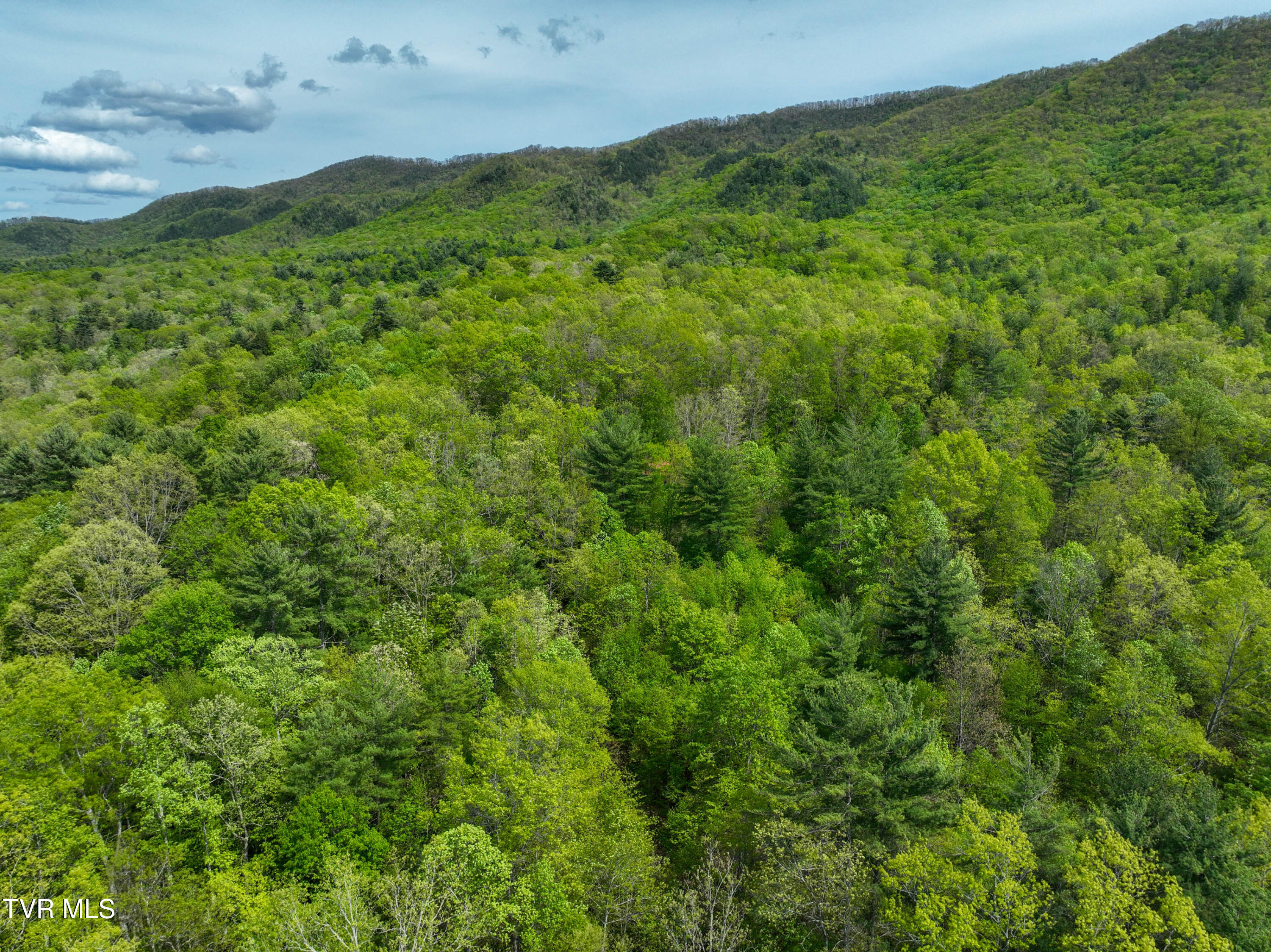 423 Pandora Fork Road Butler, TN 37640 - Photo 84 of 109 423 Pandora Fork Ln Drone TAYLOR-5