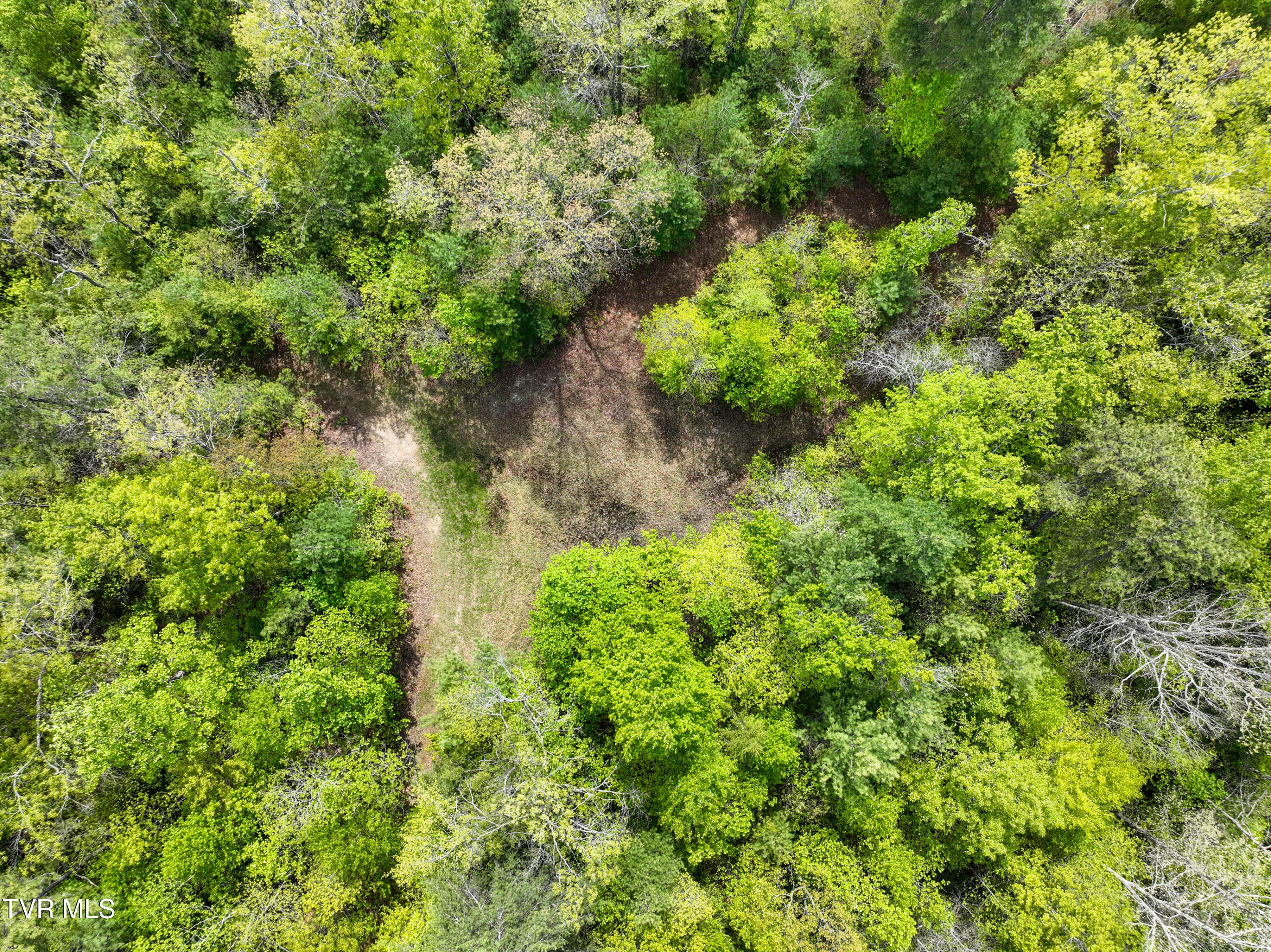 423 Pandora Fork Road Butler, TN 37640 - Photo 85 of 109 423 Pandora Fork Ln Drone TAYLOR-6