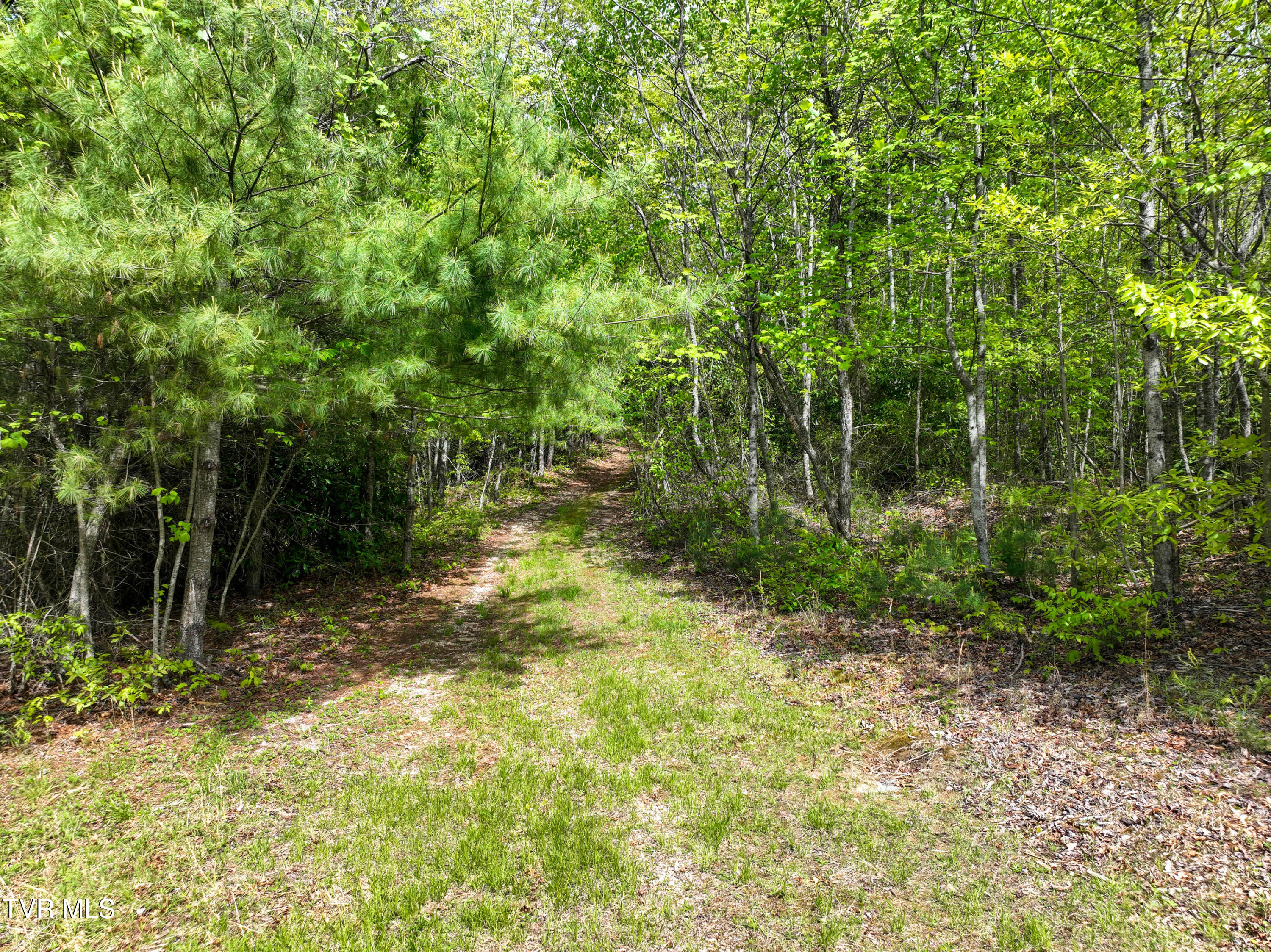423 Pandora Fork Road Butler, TN 37640 - Photo 86 of 109 423 Pandora Fork Ln Drone TAYLOR-7