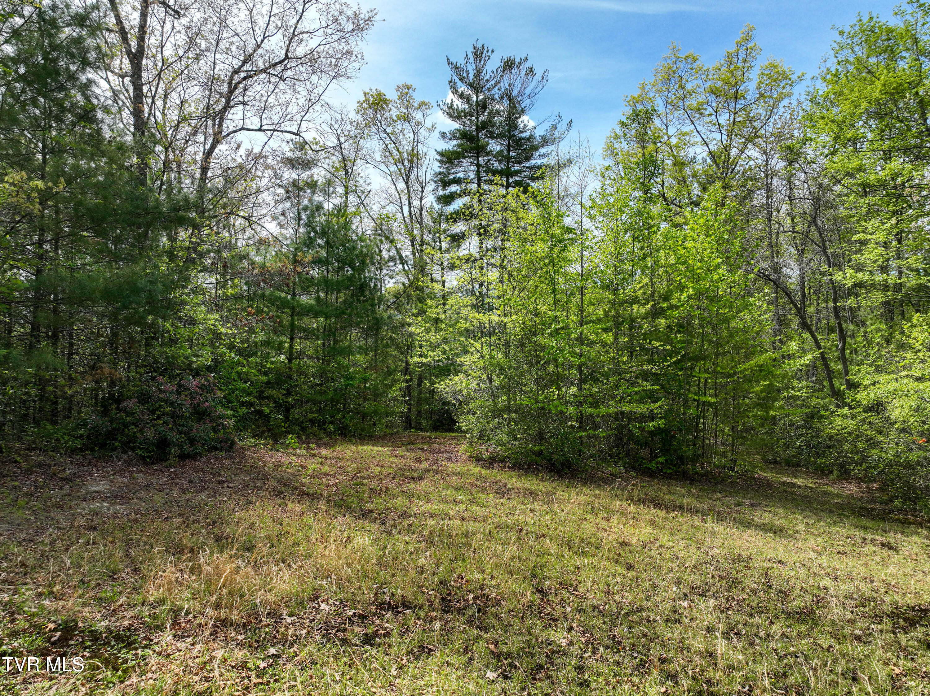 423 Pandora Fork Road Butler, TN 37640 - Photo 87 of 109 423 Pandora Fork Ln Drone TAYLOR-8