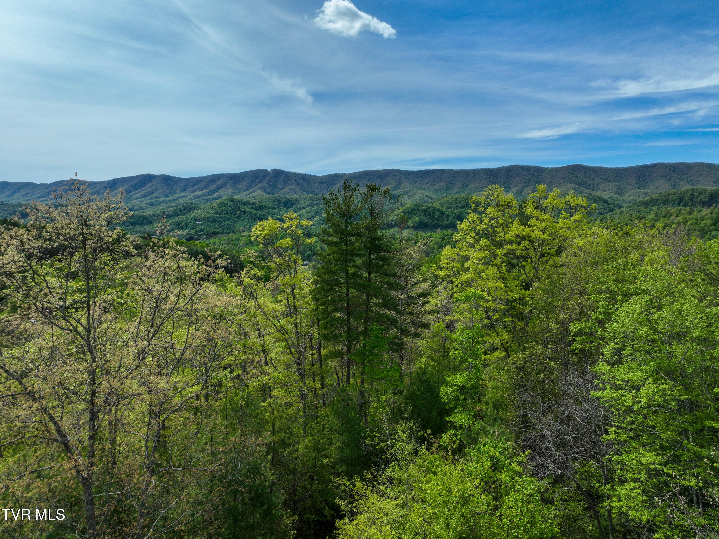 423 Pandora Fork Road Butler, TN 37640 - Photo 88 of 109 423 Pandora Fork Ln Drone TAYLOR-9