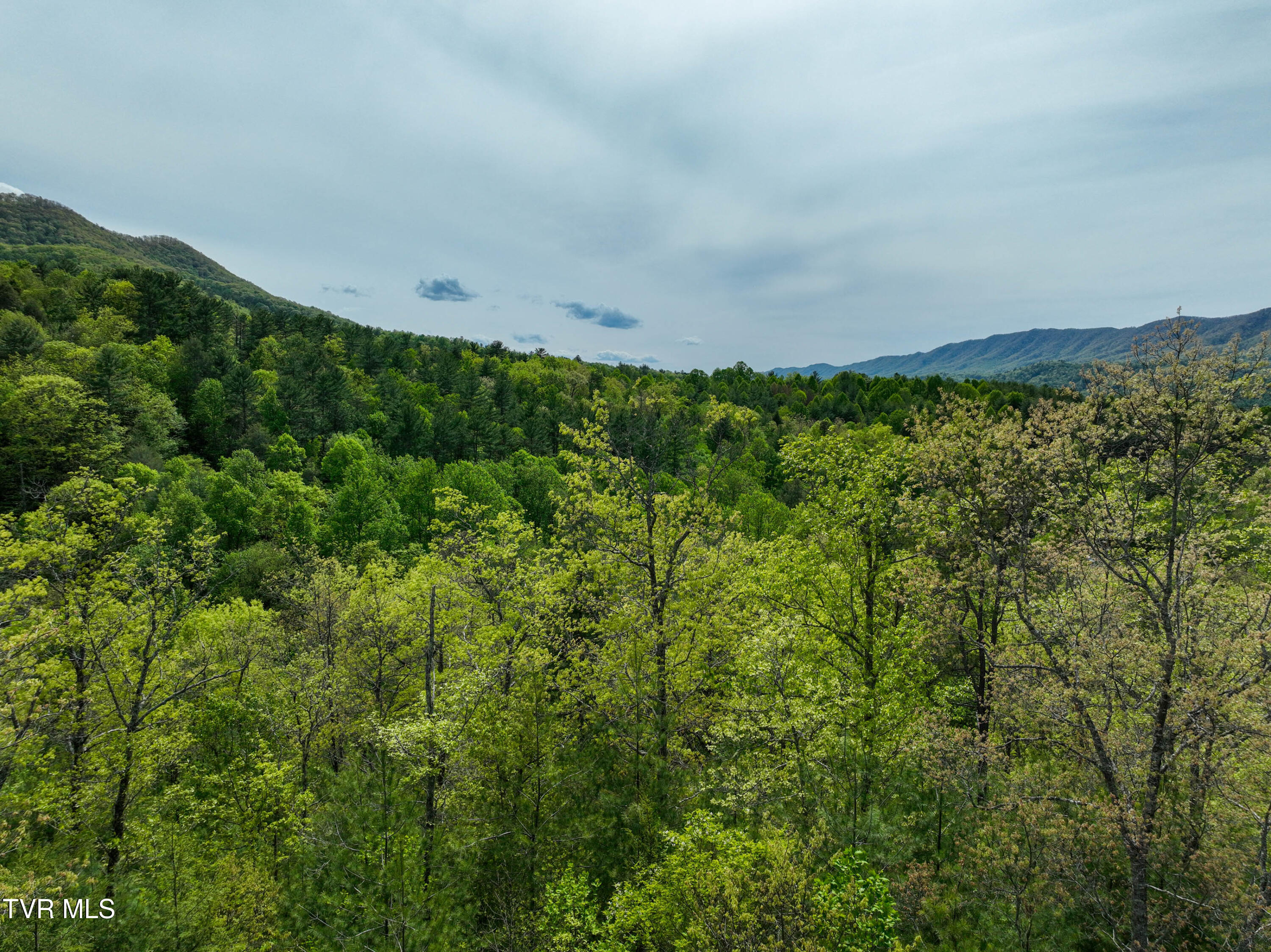 423 Pandora Fork Road Butler, TN 37640 - Photo 89 of 109 423 Pandora Fork Ln Drone TAYLOR-10