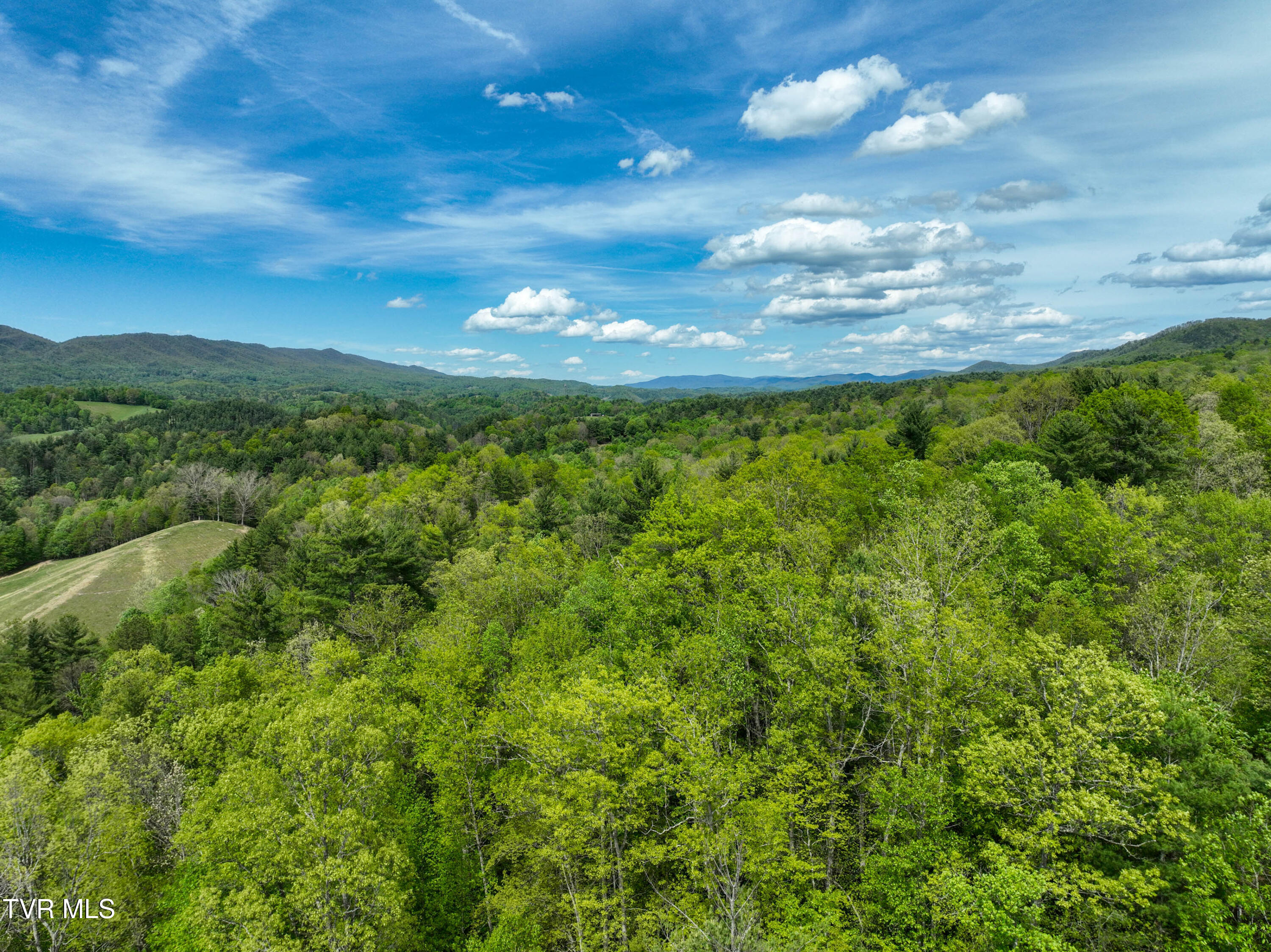 423 Pandora Fork Road Butler, TN 37640 - Photo 91 of 109 423 Pandora Fork Ln Drone TAYLOR-12