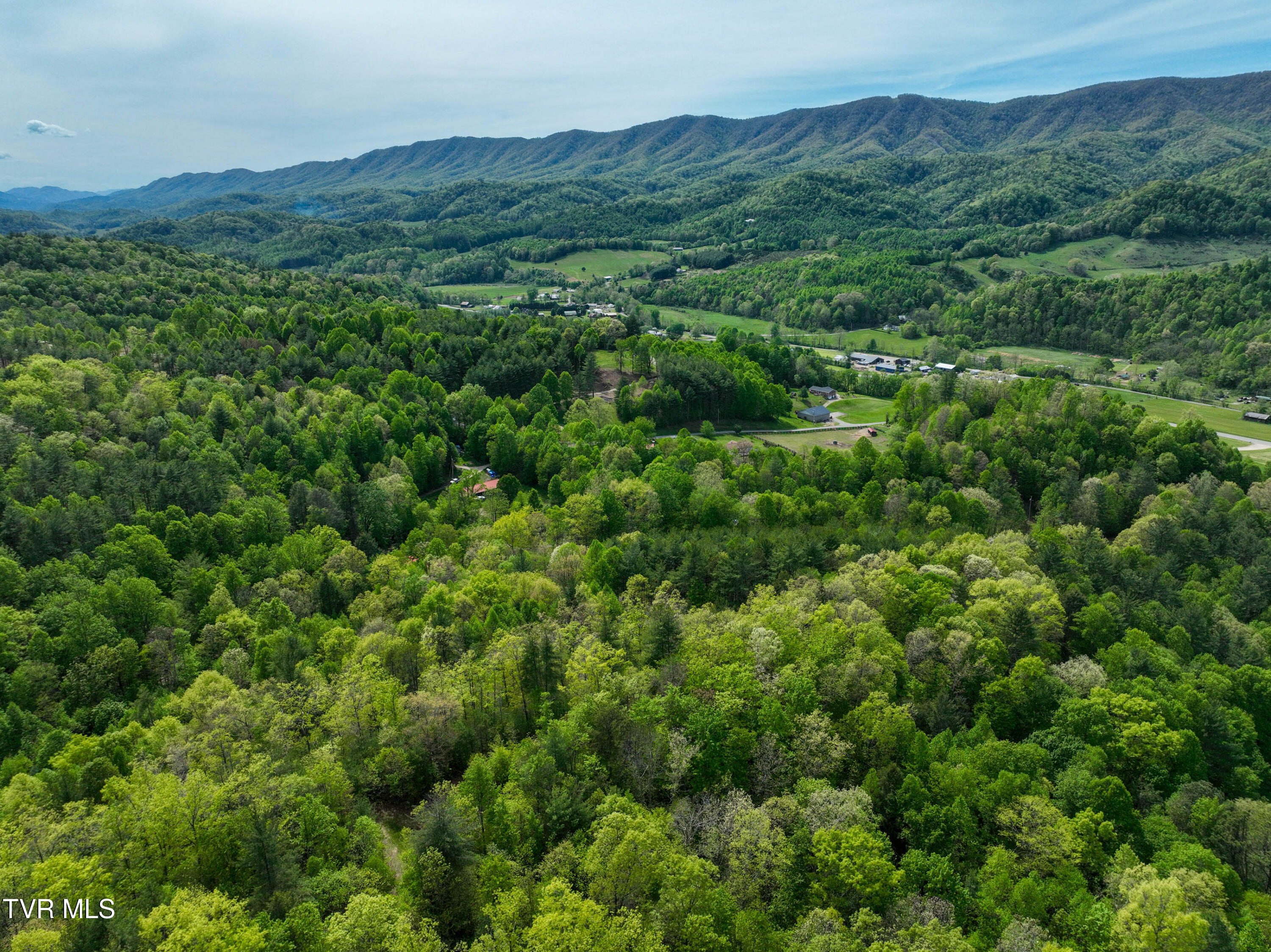 423 Pandora Fork Road Butler, TN 37640 - Photo 100 of 109 423 Pandora Fork Ln Drone TAYLOR-21