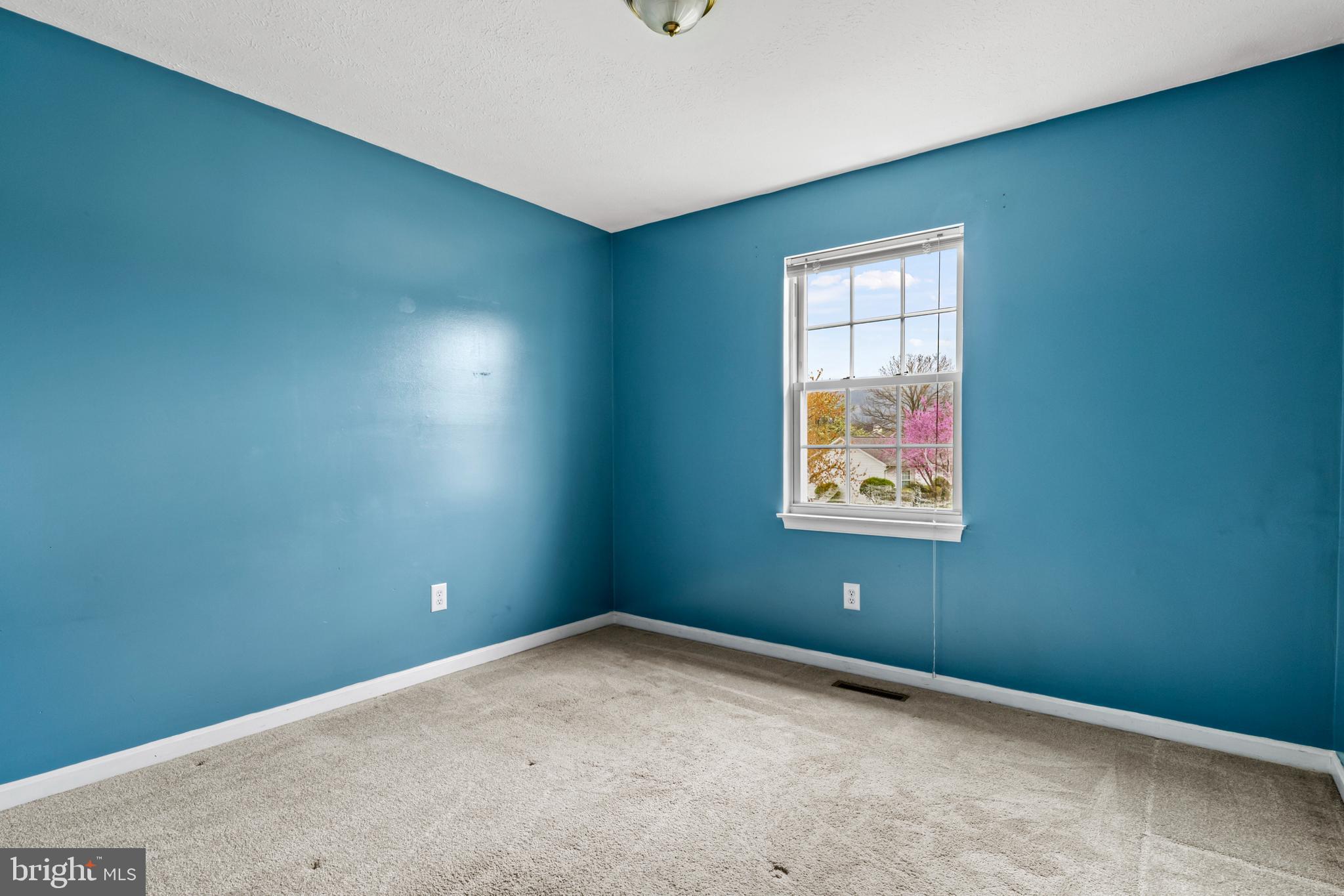 292 Duke Circle Strasburg, VA 22657 - Photo 24 of 37
