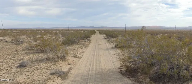 a view of a field with an ocean