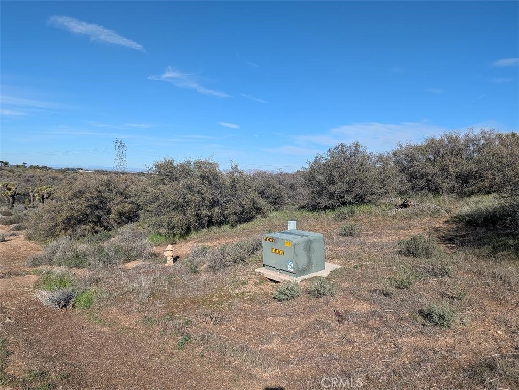 21 Atsina Road Phelan, CA 92371 - Photo 11 of 11 a view of a dry yard with trees