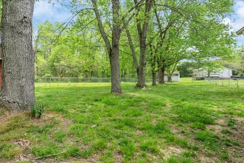 a view of backyard with green space