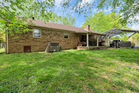a backyard of a house with plants and large tree