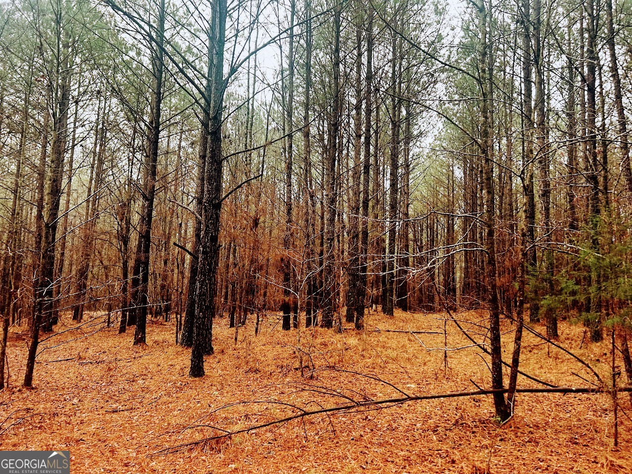 0 St Mary's Road Southwest, Unit TRACT 1A Crawfordville, GA 30631 - Photo 11 of 19