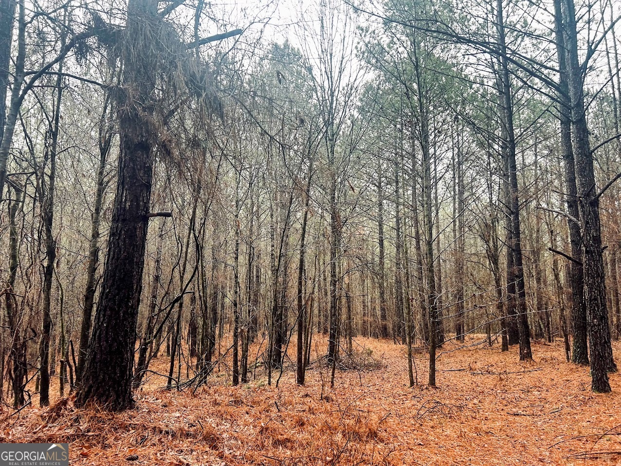 0 St Mary's Road Southwest, Unit TRACT 1A Crawfordville, GA 30631 - Photo 12 of 19