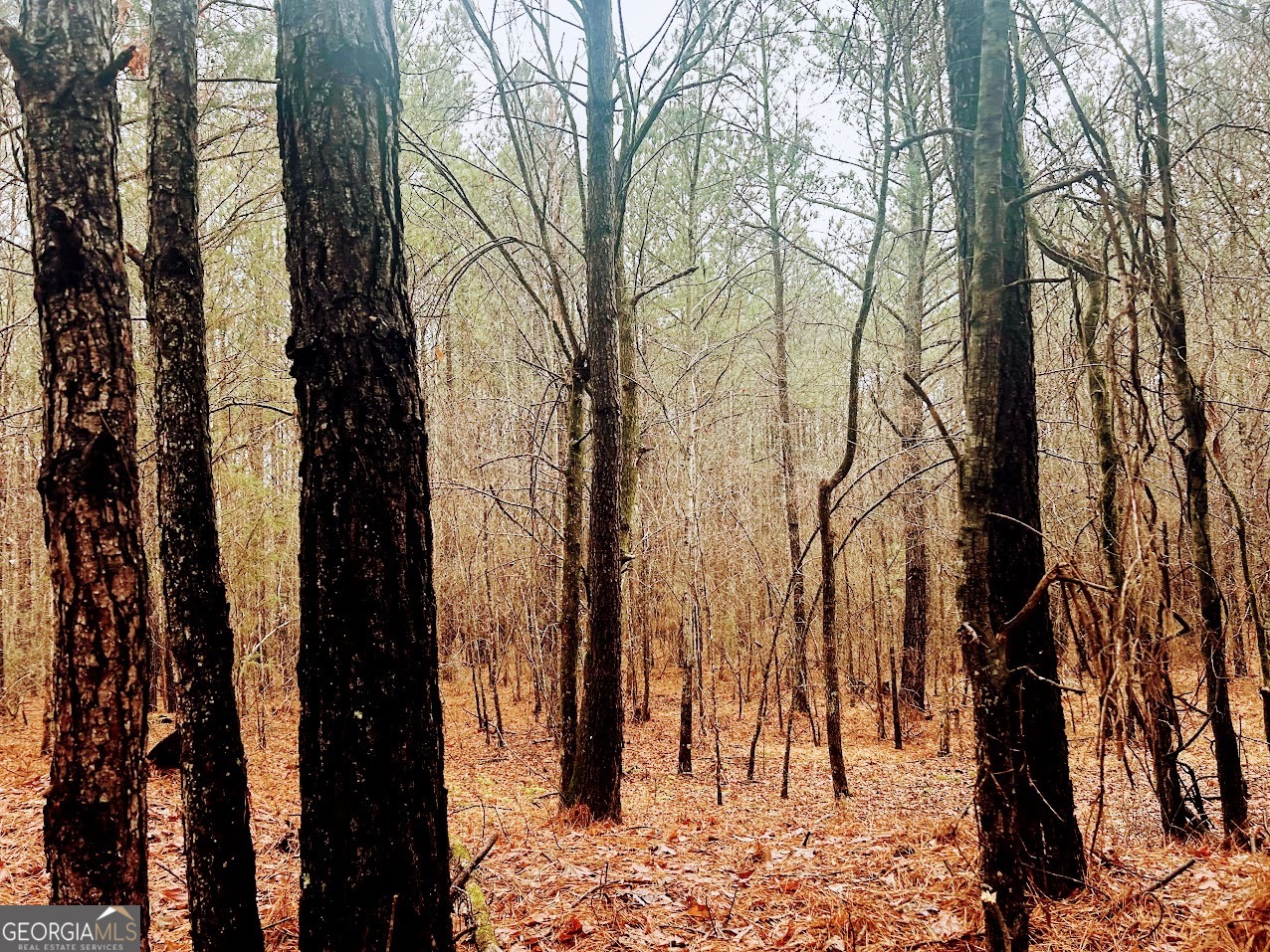 0 St Mary's Road Southwest, Unit TRACT 1A Crawfordville, GA 30631 - Photo 13 of 19