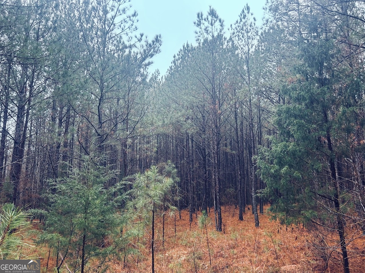 0 St Mary's Road Southwest, Unit TRACT 1A Crawfordville, GA 30631 - Photo 14 of 19