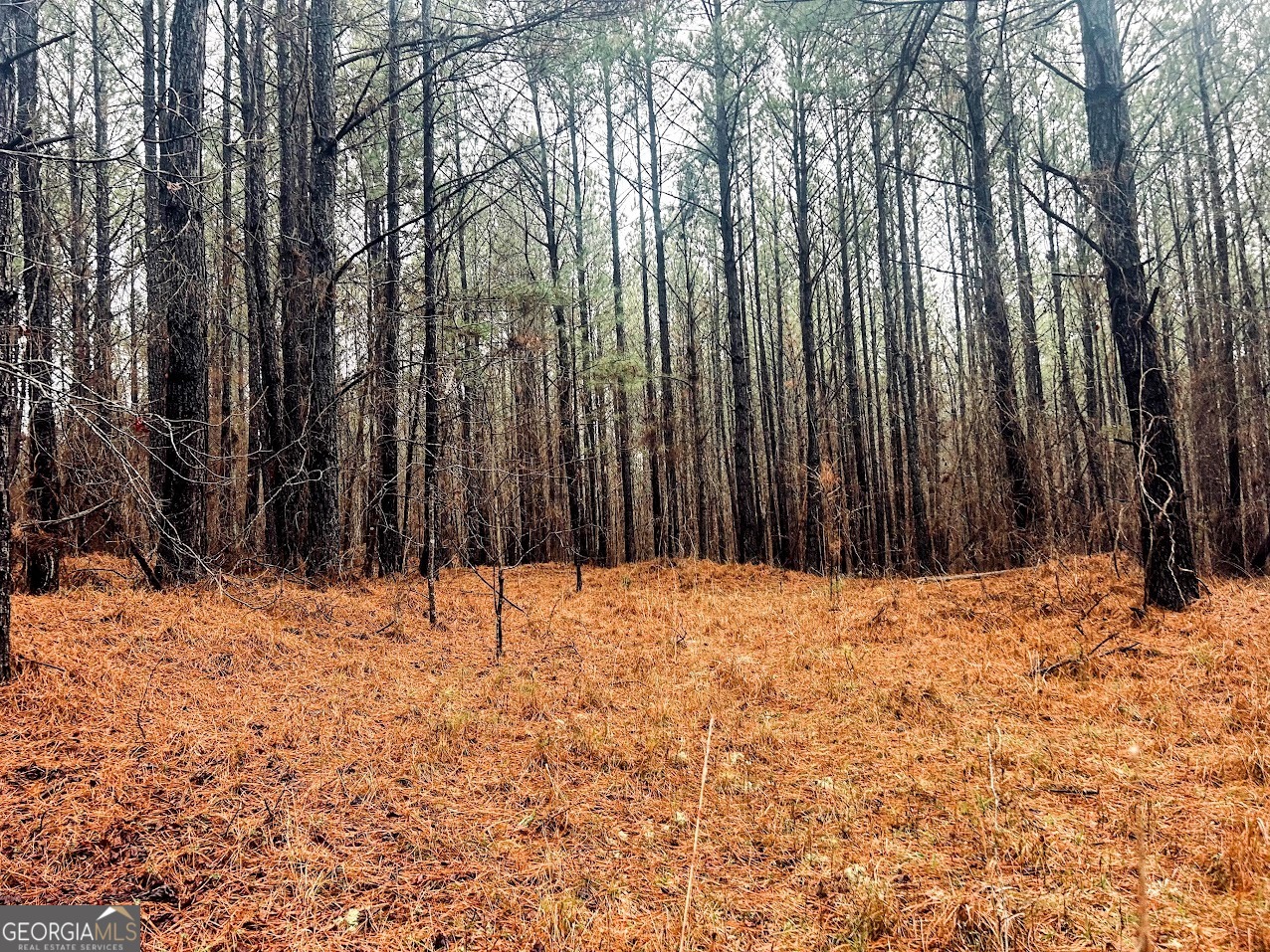 0 St Mary's Road Southwest, Unit TRACT 1A Crawfordville, GA 30631 - Photo 15 of 19