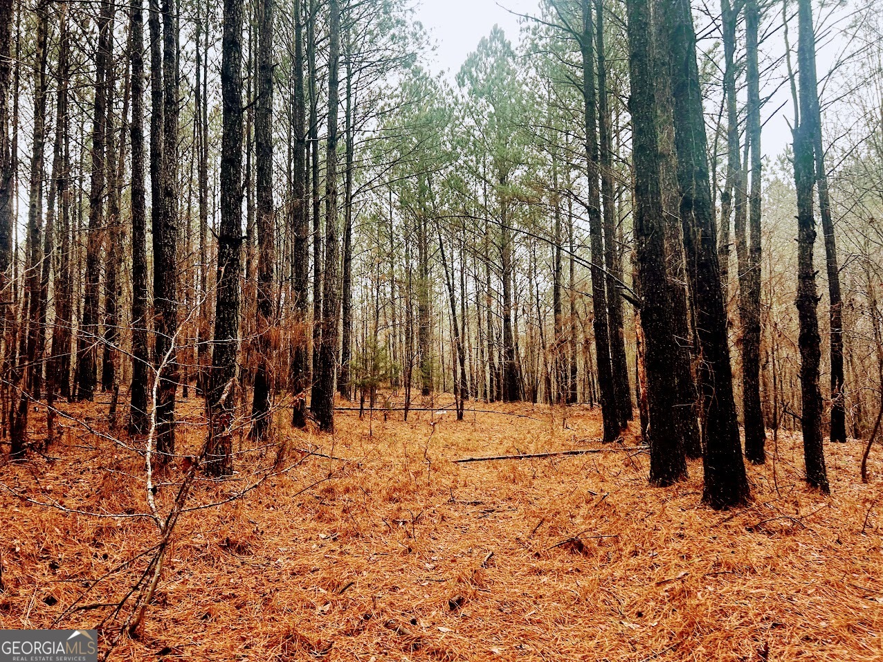 0 St Mary's Road Southwest, Unit TRACT 1A Crawfordville, GA 30631 - Photo 16 of 19