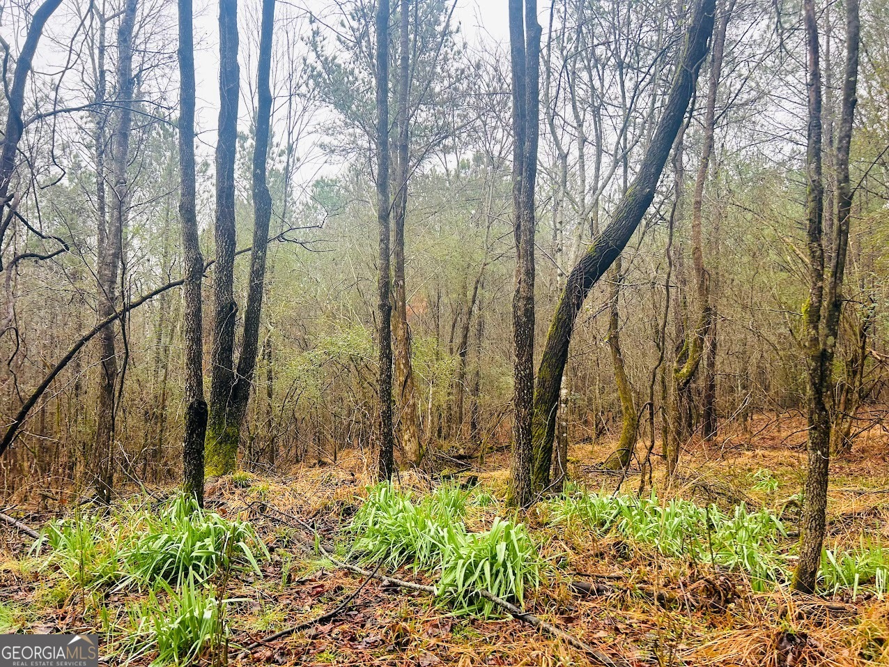 0 St Mary's Road Southwest, Unit TRACT 1A Crawfordville, GA 30631 - Photo 2 of 19