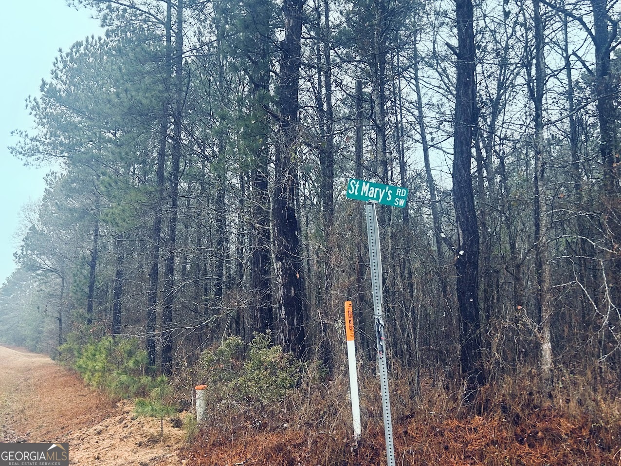 0 St Mary's Road Southwest, Unit TRACT 1A Crawfordville, GA 30631 - Photo 3 of 19