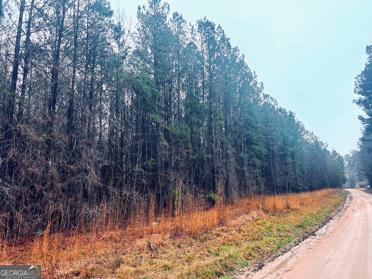 0 St Mary's Road Southwest, Unit TRACT 1A Crawfordville, GA 30631 - Photo 4 of 19