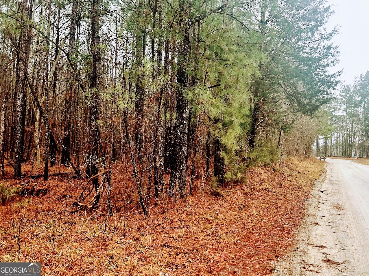 0 St Mary's Road Southwest, Unit TRACT 1A Crawfordville, GA 30631 - Photo 5 of 19