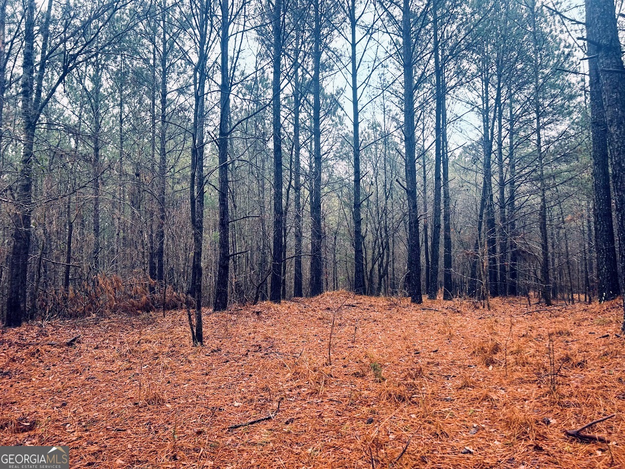0 St Mary's Road Southwest, Unit TRACT 1A Crawfordville, GA 30631 - Photo 8 of 19