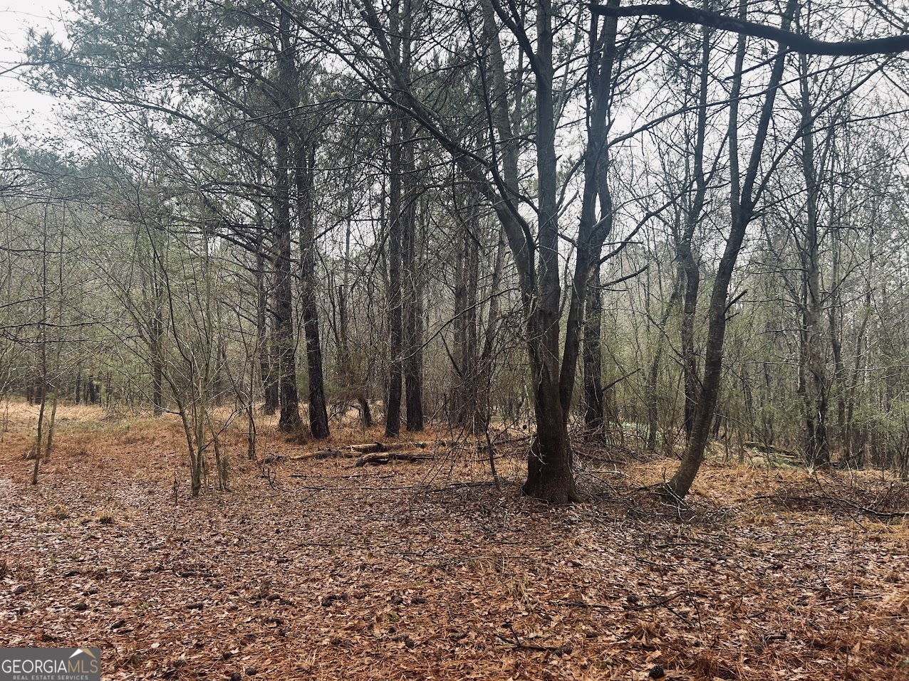 0 St Mary's Road Southwest, Unit TRACT 1A Crawfordville, GA 30631 - Photo 9 of 19