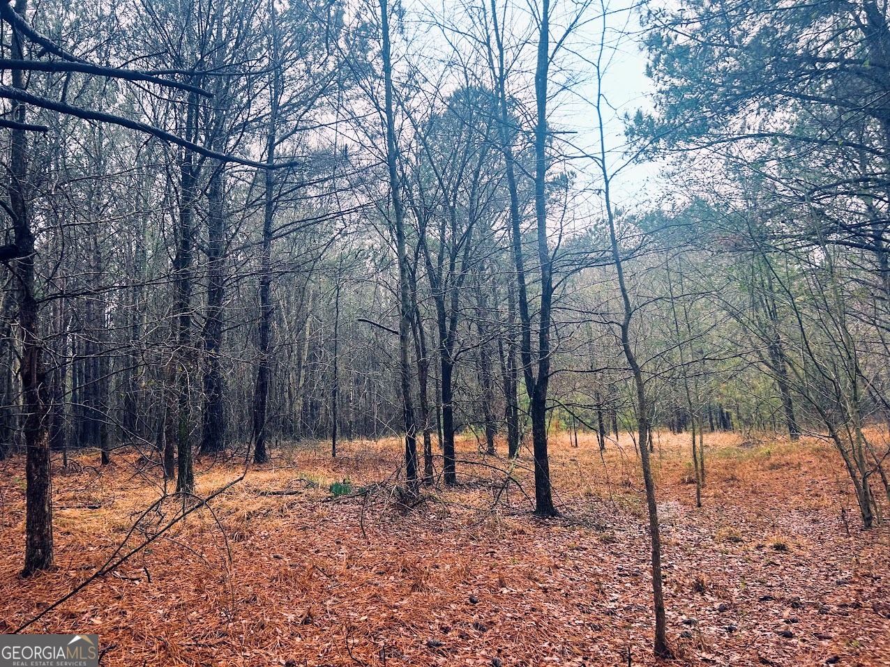 0 St Mary's Road Southwest, Unit TRACT 1A Crawfordville, GA 30631 - Photo 10 of 19