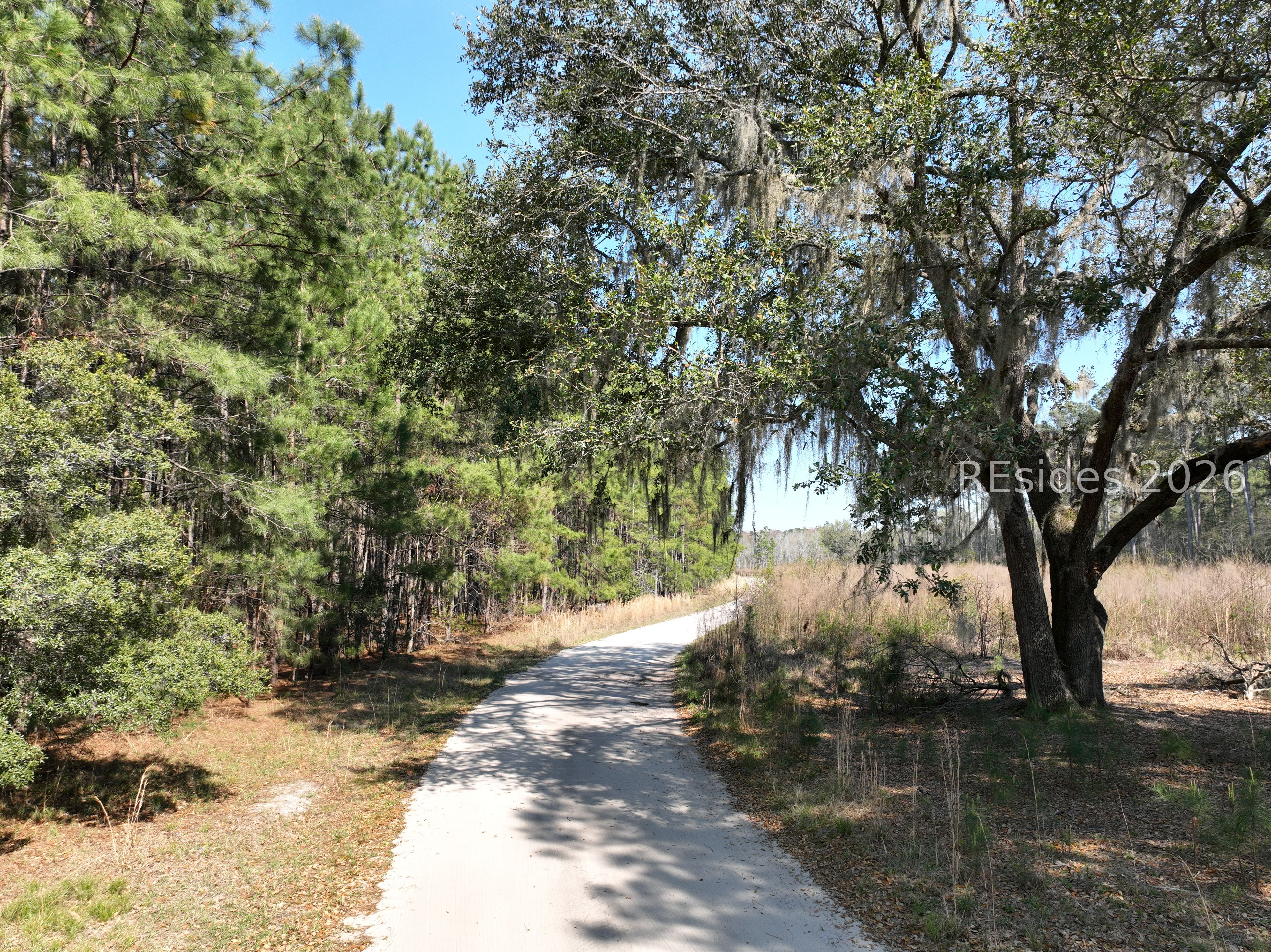 1418 Great Swamp Road Ridgeland, SC 29936 - Photo 9 of 13