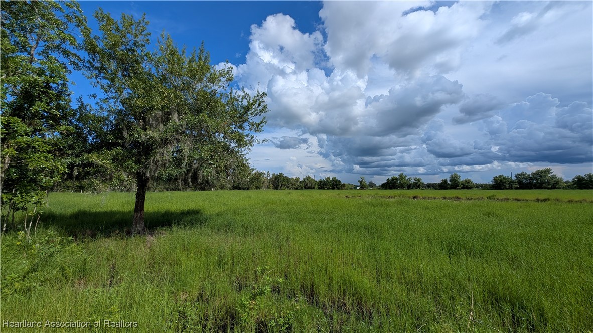 108 Hall Road Lake Placid, FL 33852 - Photo 3 of 18 Gallery Image 3