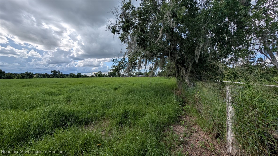 108 Hall Road Lake Placid, FL 33852 - Photo 4 of 18 Gallery Image 4