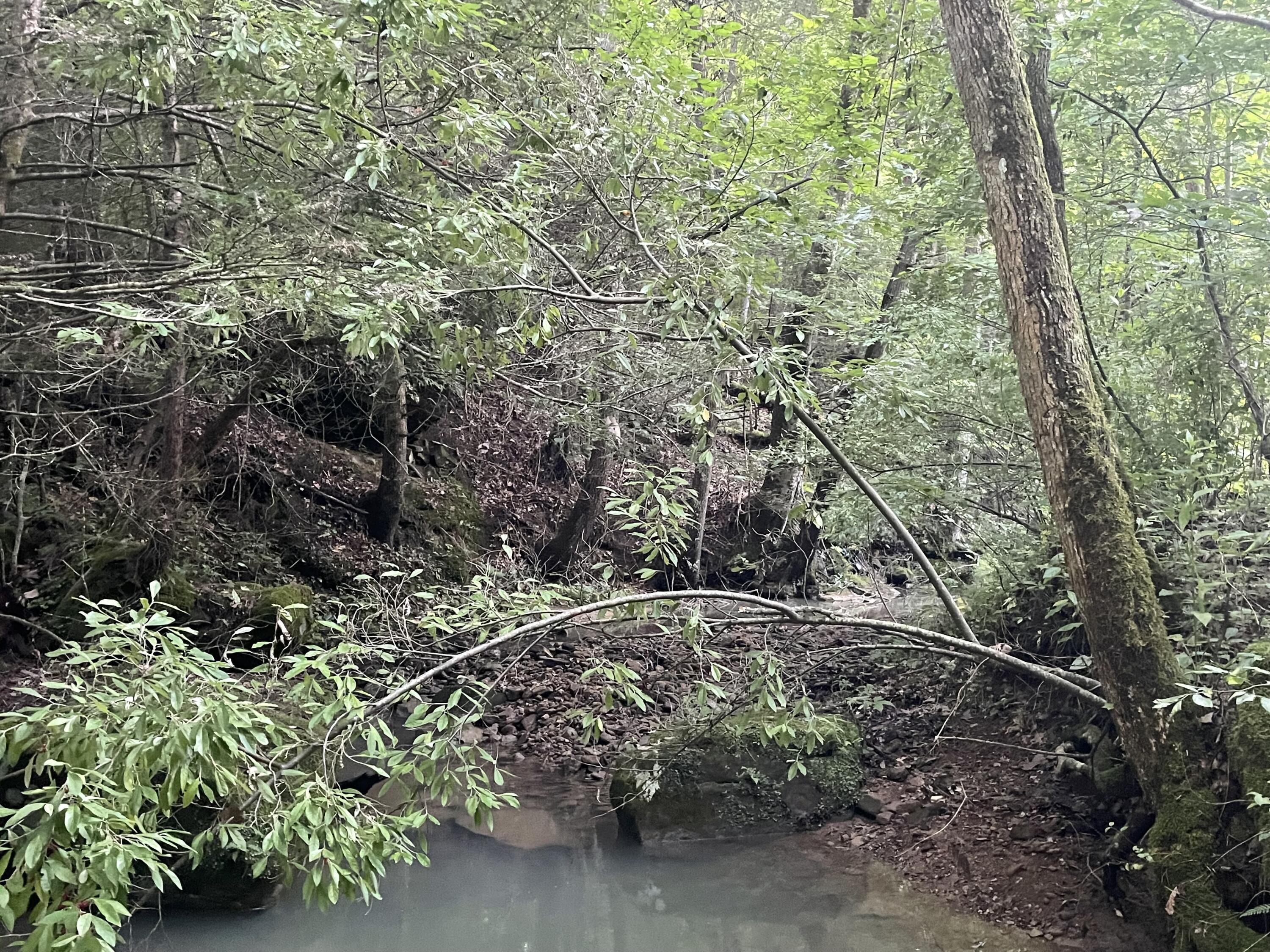 0 Little Rock Creek Road Strunk, KY 42649 - Photo 2 of 29 IMG_6837