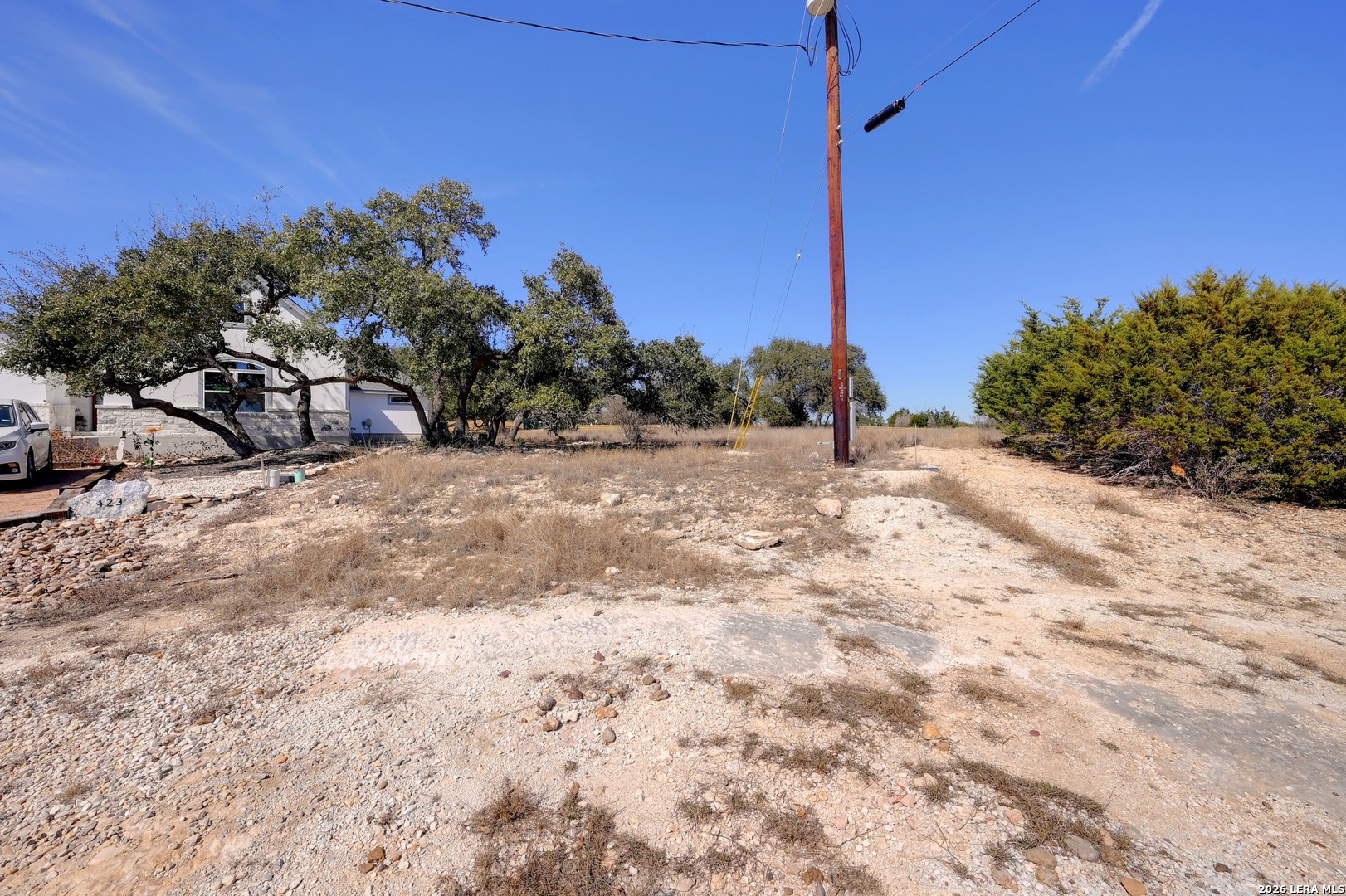 425 George Dolson Blanco, TX 78606 - Photo 12 of 27 a view of a yard with a tree