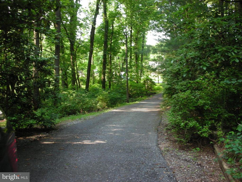 125 Distillery Road Newmanstown, PA 17073 - Photo 2 of 10 Gallery Image 2