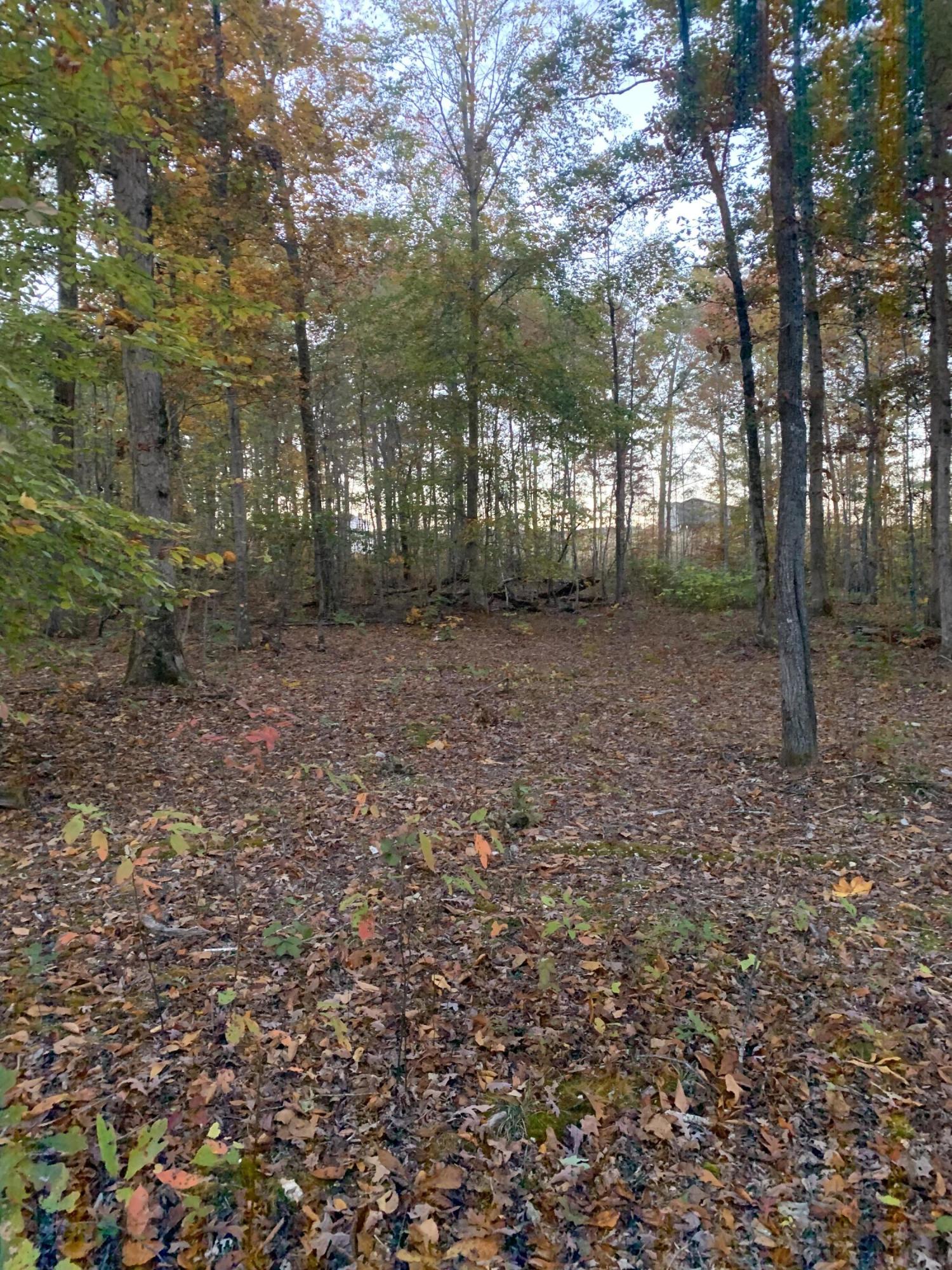 0 Warrensburg Road, Unit 5 & 6 Greeneville, TN 37743 - Photo 12 of 16 IMG-5074