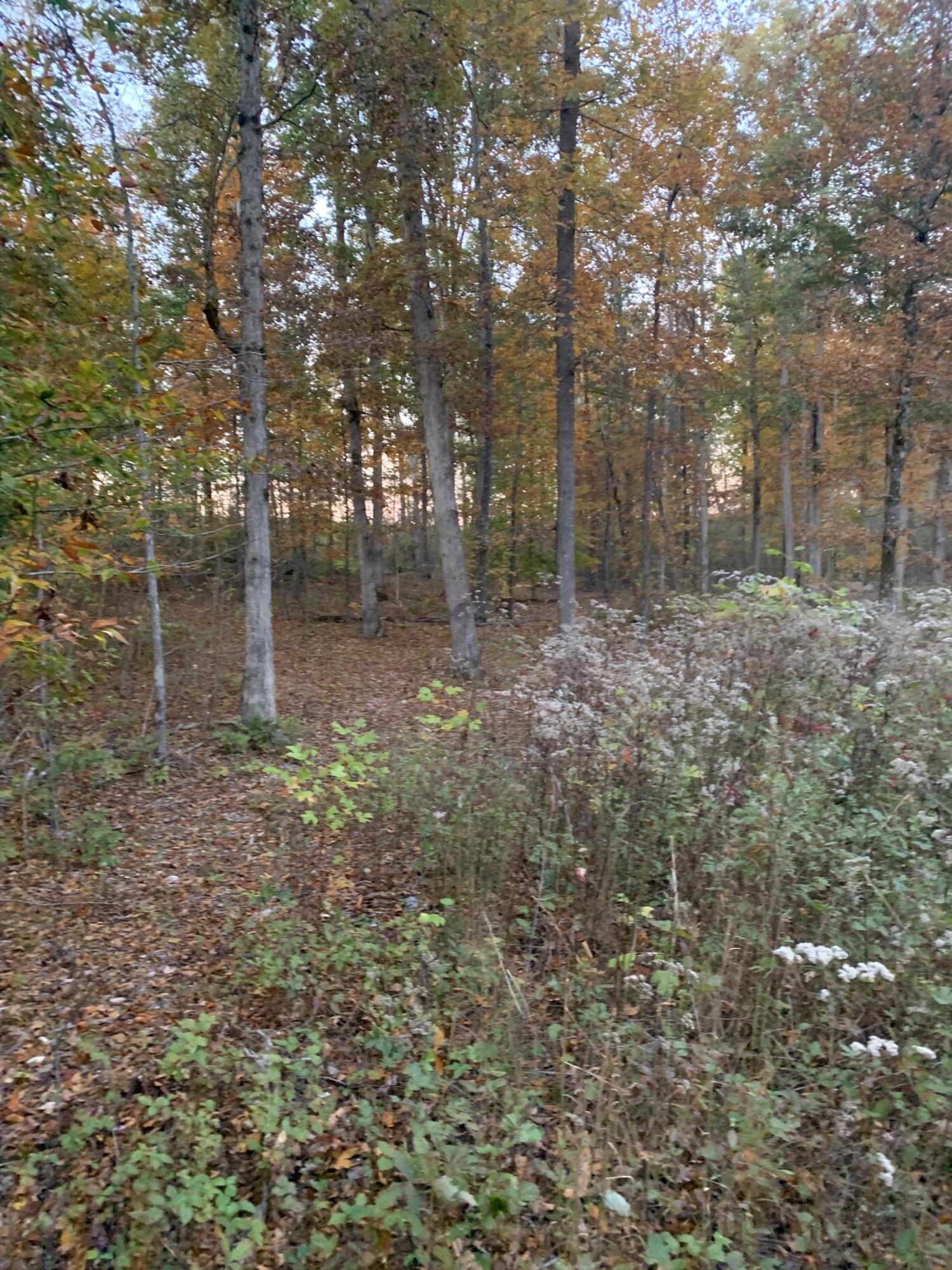 0 Warrensburg Road, Unit 5 & 6 Greeneville, TN 37743 - Photo 5 of 16 IMG-5067