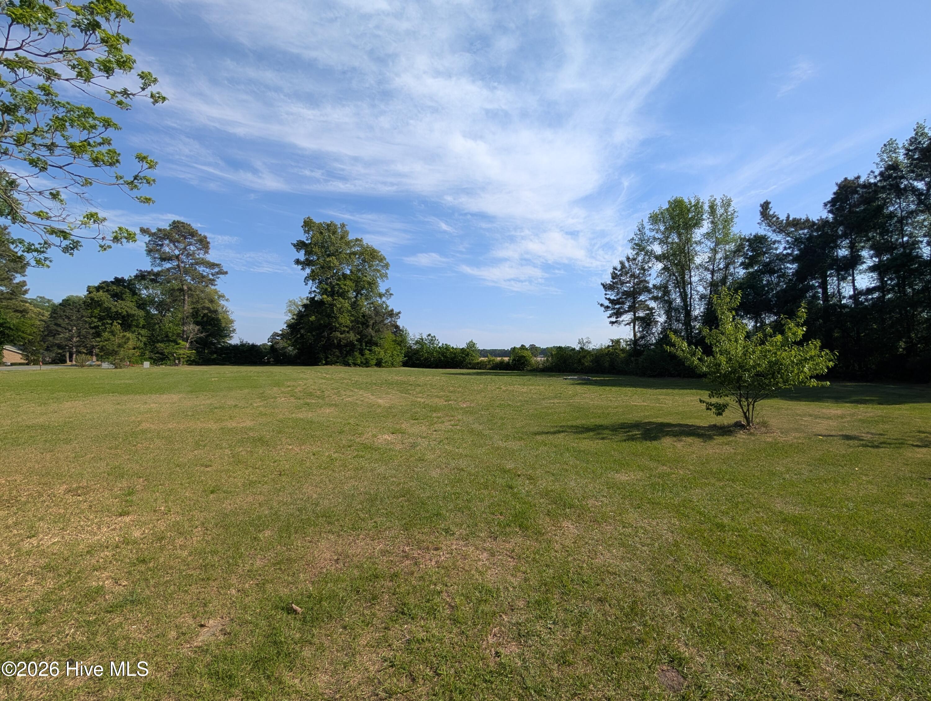 0 Timothy Road Newton Grove, NC 28366 - Photo 2 of 4 PXL_20260416_203933374