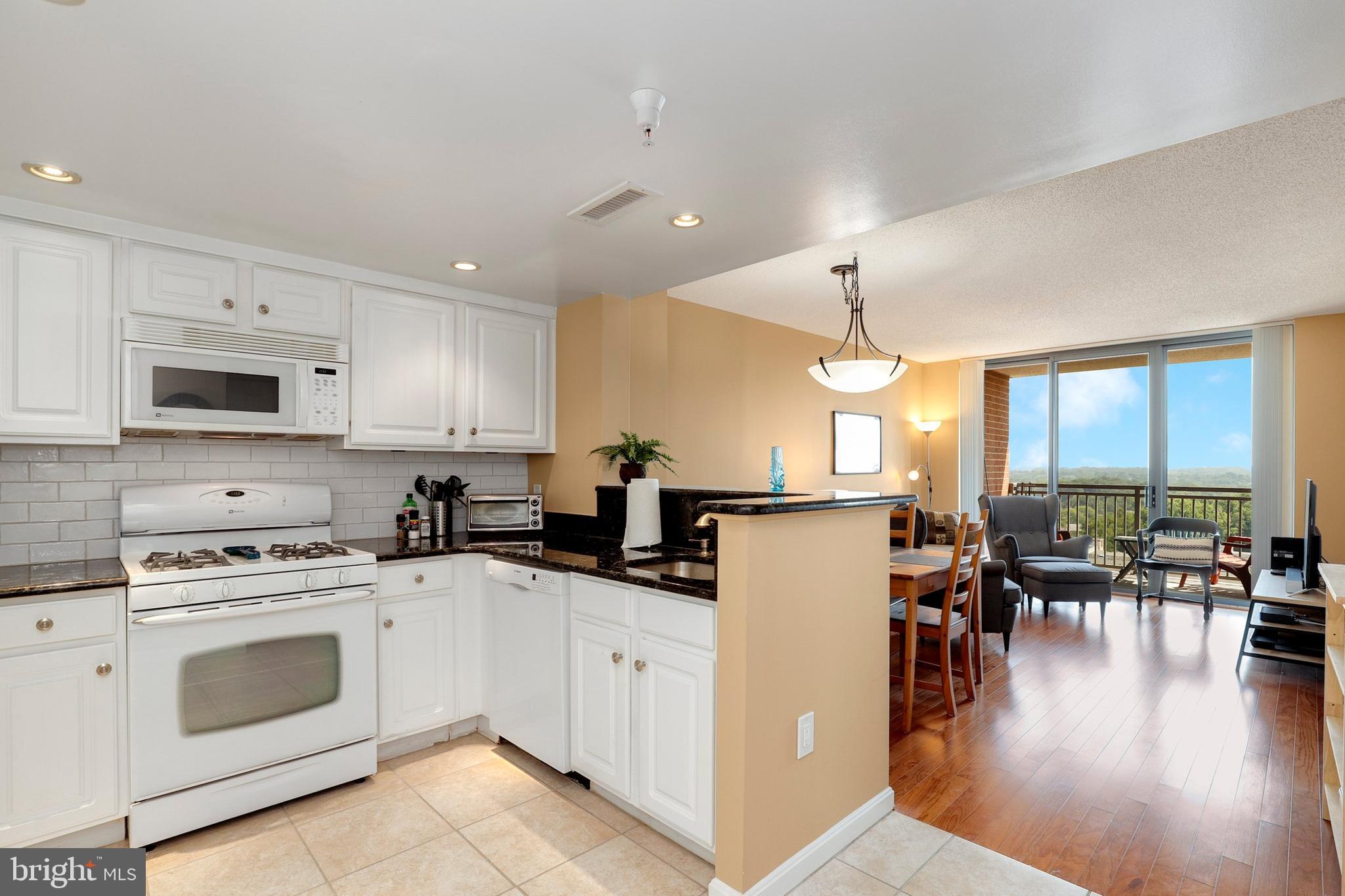 11710 Old Georgetown Road, Unit 1004 North Bethesda, MD 20852 - Photo 7 of 28