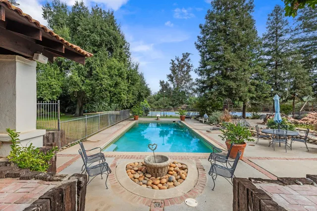 a view of a garden with plants and large trees